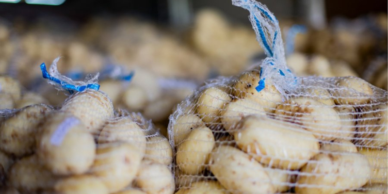 Золота картопля, дармова гречка. Рейтинг продуктів, які найбільше подорожчали та подешевшали в Україні