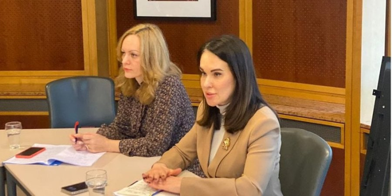 Швидше так, ніж ні. Надприбутки від заарештованих активів РФ можуть передати Україні - Мін'юст