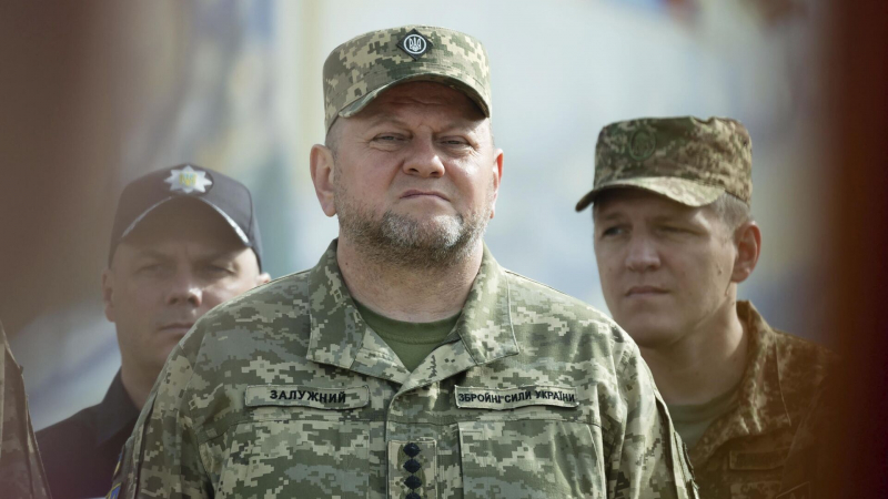 Рогов прокомментировал слова Залужного о невозможности возврата к границам