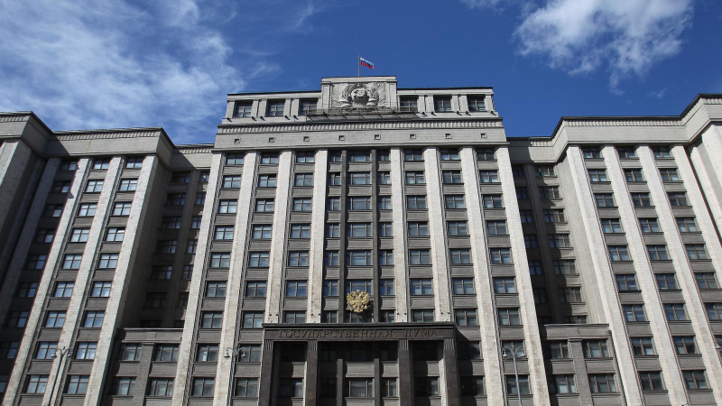 В Госдуме предложили создать новые международные правозащитные организации